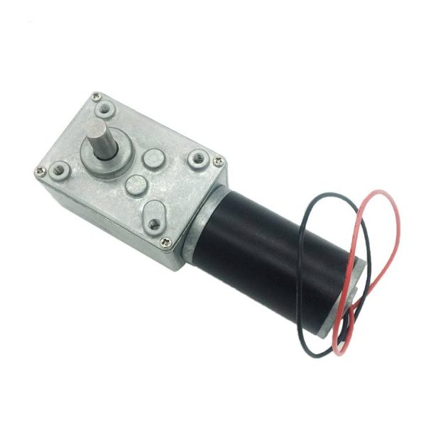 BRINGSMART 12V 40RPM DC Worm Gear Motor